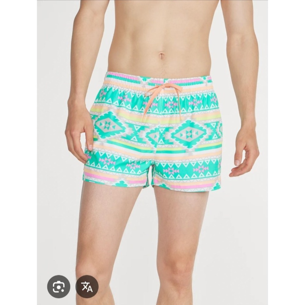 Chubbies Mens Swim Trunks Teal Pastel Neon Tribal Aztec Retro Print Sz S